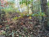 LOT 95 Cedar Road - Photo 3