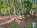 LOT 30 Rocky Knob Drive - Photo 1