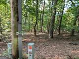 LOT 30 Rocky Knob Drive - Photo 4