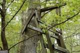 0 County Line Road - Photo 13