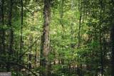 0 County Line Road - Photo 19