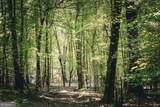 0 County Line Road - Photo 44