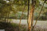 0 County Line Road - Photo 7