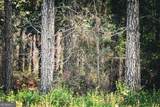 0 County Line Road - Photo 75