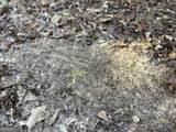 0 Lower River Road - Photo 5