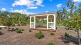 175 Timber Road - Photo 33