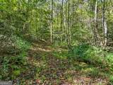 0 Tanglewood Lane - Photo 4