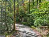 0 Tanglewood Lane - Photo 8