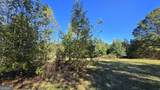 0 Fox Bridge Road - Photo 11