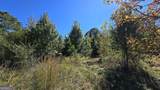 0 Fox Bridge Road - Photo 17