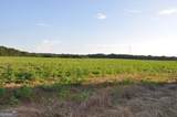 266 +/- AC Loven Mill Road - Photo 16
