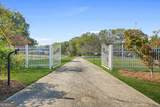 5422 Hill Road - Photo 67