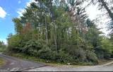 LOT 5 Sequoia Hills Lane - Photo 1