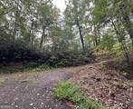 LOT 5 Sequoia Hills Lane - Photo 6