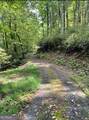 LOT 7 Sequoia Hills Lane - Photo 14
