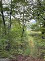 LOT 7 Sequoia Hills Lane - Photo 2