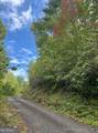 LOT 7 Sequoia Hills Lane - Photo 4