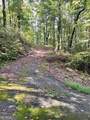 LOT 6 Sequoia Hills Lane - Photo 7
