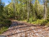 0 Hog Liver Road - Photo 2