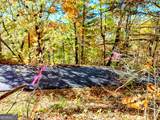 #20 Victoria Woods Circle - Photo 12