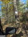 26.89 AC Shadow Lane - Photo 11
