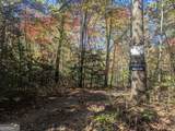 26.89 AC Shadow Lane - Photo 2