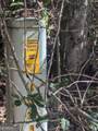 26.89 AC Shadow Lane - Photo 5