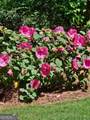 295 Blue Heron Drive - Photo 49