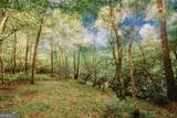 329 Twisting Ridge Trail - Photo 35