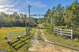 874 Mistletoe Road - Photo 2