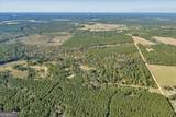 874 Mistletoe Road - Photo 49