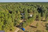 874 Mistletoe Road - Photo 62