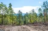 3793 Hwy 140 - Photo 14