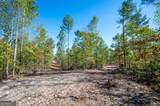 3793 Hwy 140 - Photo 4