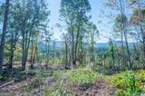 3879 Hwy 140 - Photo 5