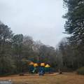4682 Pine Circle - Photo 1