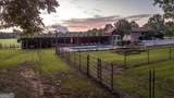 2870 Prospect Road - Photo 118