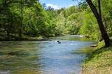101 Creekside Cabin Trail - Photo 3
