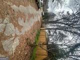 1220 Westmont Road - Photo 5