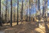 0 Foxpaw Leaf Lane - Photo 3