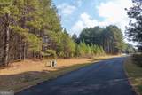 0 Foxpaw Leaf Lane - Photo 21