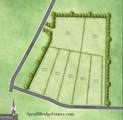252 Spruill Bridge Road - Photo 6