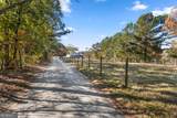 6435 Looper Lake Drive - Photo 48
