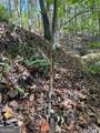 902 Pinyan Road - Photo 35