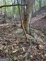 902 Pinyan Road - Photo 36