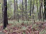0 Clinton Crossing - Photo 5