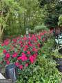1885 Spring Rose Glen - Photo 40