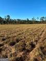 4880 Hwy 280 - Photo 1