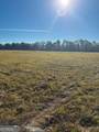 4880 Hwy 280 - Photo 7
