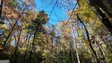 701 St Hwy 356 - Photo 11